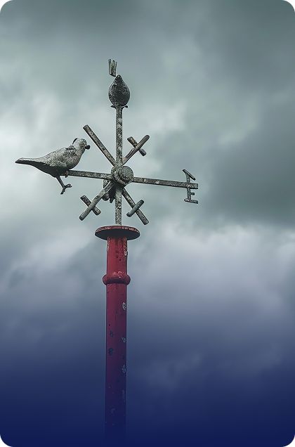 Aviation Meteorology